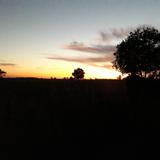 Nuit d&rsquo;&eacute;t&eacute;